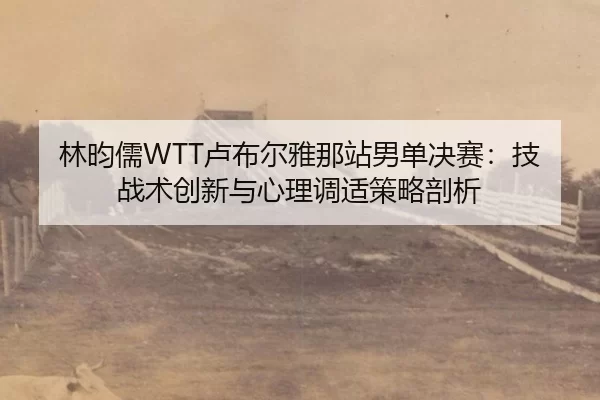 lin-yun-ru-lu-bu-er-ya-na-zhan-nan-dan-jue-sai-ji-zhan-shu-chuang-xin-yu-xin-li-tiao-shi-ce-lve-pou-xi-2-768.jpg