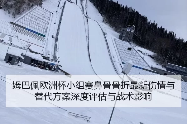 mu-ba-pei-ou-zhou-bei-xiao-zu-sai-bi-gu-gu-zhe-zui-xin-shang-qing-yu-ti-dai-fang-an-shen-du-ping-gu-yu-zhan-shu-ying-2-287.jpg