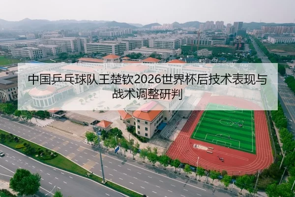 中国乒乓球队王楚钦2026世界杯后技术表现与战术调整研判