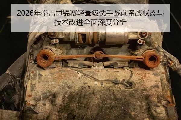 2026年拳击世锦赛轻量级选手战前备战状态与技术改进全面深度分析
