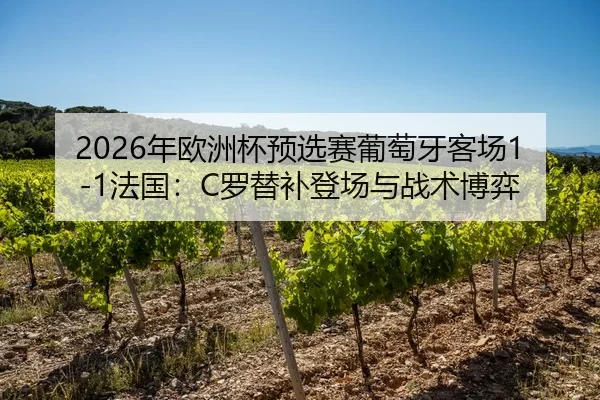 2026年欧洲杯预选赛葡萄牙客场1-1法国：C罗替补登场与战术博弈