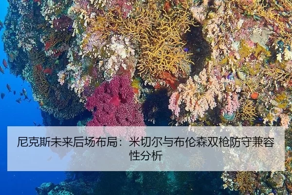 尼克斯未来后场布局：米切尔与布伦森双枪防守兼容性分析